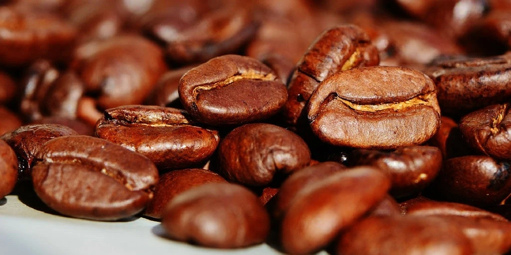 Close-up of coffee beans 
